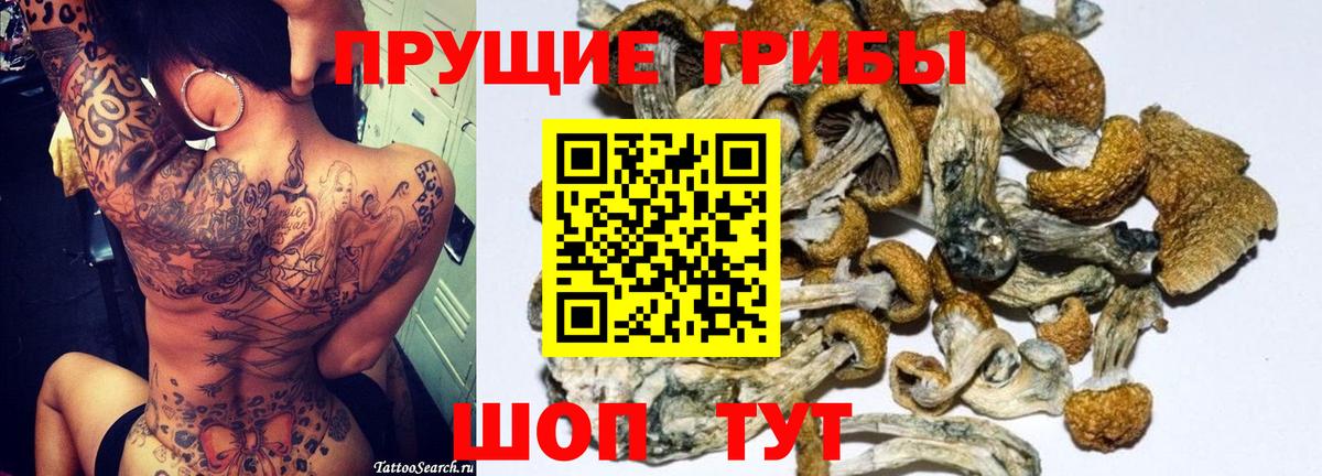 Псилоцибиновые грибы Psilocybe Ливны